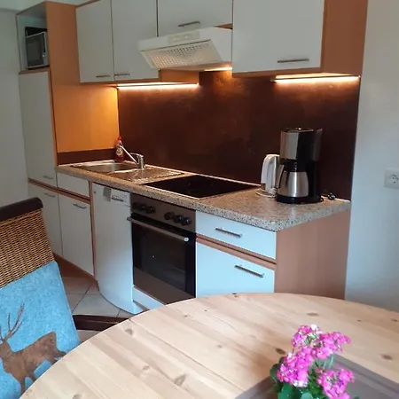 Apartmán Apart Brugger *